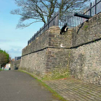 Celtic Roots Radio 15 - Stroke City, hey, mugger?