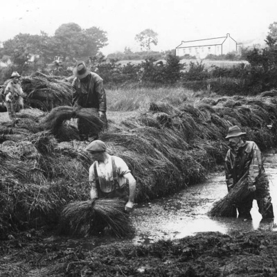 Celtic Roots Radio - Irish Music Podcast