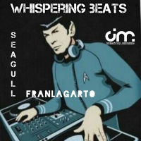 Seagull - Whispering Beats ep. 06