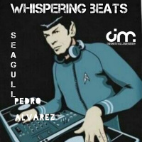 Seagull - Whispering Beats ep. 07