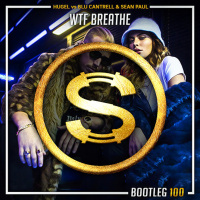 Hugel vs Blu Cantrell x Sean Paul - Wtf Breathe (Da Sylva bootleg)