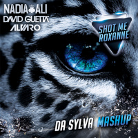 DAVID GUETTA vs NADIA ALI vs ALVARO  JOEY DALE vs MEHRBOD ready for shot me roxanne (da sylva mashup)