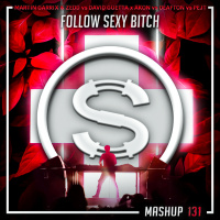 Episode 131: Martin Garrix x Zedd vs David Guetta x Akon vs Deafton vs Pejt - Follow Sexy Bitch (Da Sylva mashup)