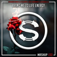 Episode 133: Evanescence vs Tujamo x Jay Hardway vs Nckbella - Bring Me To Life Energy (SYLVA mashup)