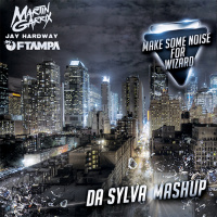 M.G. and J.H. vs FTAMPA make some noise for wizard (da sylva mashup)