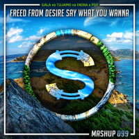 Gala vs Tujamo vs Indra x Pop - Freed From Desire Say What You Wanna (Da Sylva mashup)