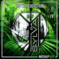 Quintino Vs Vinai ft Harrison - The Wave Devotion (Da Sylva Mashup)