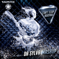 SHOWTEK vs RED HOT CHILI PEPPERS cant stop booyah (da sylva mashup)