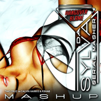 TAIO CRUZ vs CALVIN HARRIS  R3HAB blame hangover (da sylva mashup)