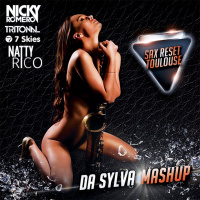 NICKY ROMERO vs NATTY RICO vs TRITONAL  7 SKIES sax reset toulouse (da sylva mashup)
