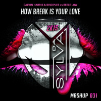 Calvin Harris  Disciples Vs. Reece Low - How Break Is Your Love (Da Sylva Mashup)