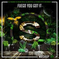 Dj Snake x Sean Paul x Anitta vs Charlotte Devaney x Tanya Lacey - Fuego You Got It (Da Sylva mashup)