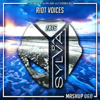 Scooter Vs Pelari Vs Cuebrick - Riot Voices (Da Sylva Mashup)