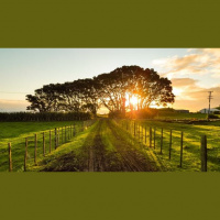 Episode 1-Path To Happiness