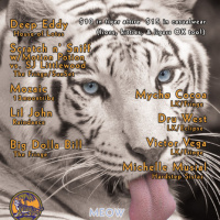 Roll the Cats Meow