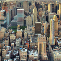 Journey through the Concrete Jungle