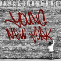 Young New York Podcast: 007 Mike Salvione Live from QOQ @ Gallery Bar (NYC) 11/9/13