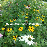 185 Pretty Days - Sync License Ambient Music