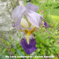 Ambient Rushton Podcast 181 - July 2021 - Vision Specific