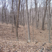 Sneaky Spirit and Feather Ridge (Ambient Rushton Podcast 160)