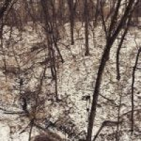Breathe in the Winter Air (Ambient Rushton Podcast 110)