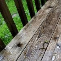 30 Minutes of Wind and Wind Chimes (Ambient Rushton Podcast 119)