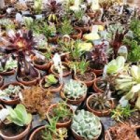 Mysteries of Life (Ambient Rushton Podcast 103)