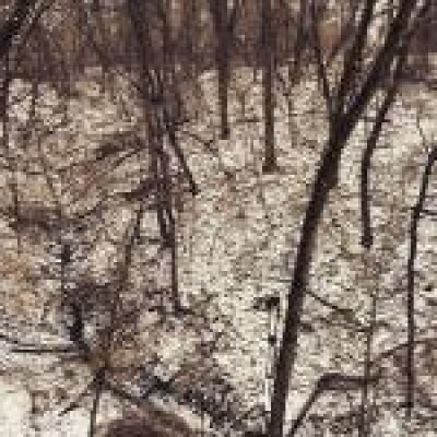 Ambient Rushton Podcast