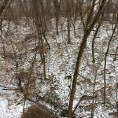 Ambient Rushton Podcast