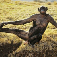 Yoga do Passado