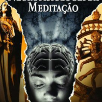 Aula 4 - Eixo Do Estresse