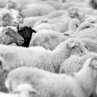 Ética e Yoga: a realidade de maya