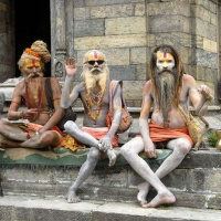 O Corpo Yogi
