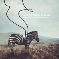 Entrevista com Prof Roberto Simões na PUC-SP