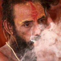 Yogis Conservadores X Subversivos