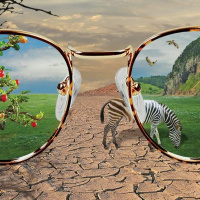 O Problema Da Verdade