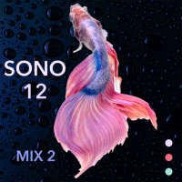 SONO 12 - Mix 2