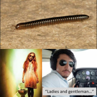 37 - sarapatel