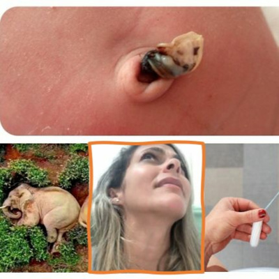 Cha Com Rapadura Podcast