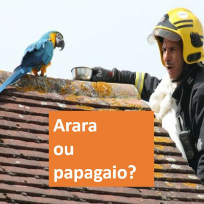 Cha Com Rapadura Podcast