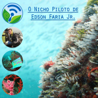 Episódio 00 - O Nicho piloto de Edson Faria Jr.