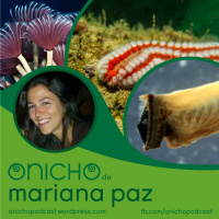 Episódio 11 - O Nicho de Mariana Paz