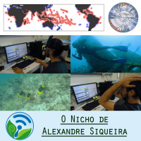 Episódio 02 - O Nicho de Alexandre Siqueira