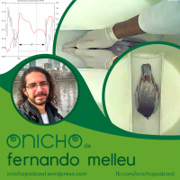 Episódio 09 - O Nicho de Fernando Melleu