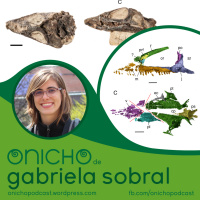 Episódio 13 - O Nicho de Gabriela Sobral