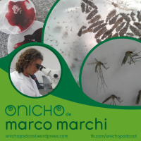 Episódio 06 - O Nicho de Marco Marchi