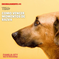 #Encorajamento 4 - Como vencer momentos de raiva.