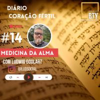 Diario #14 “A medicina da alma” com Ludwig Goulart