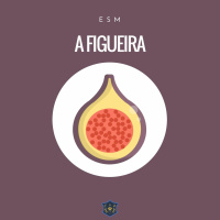A figueira | ESM