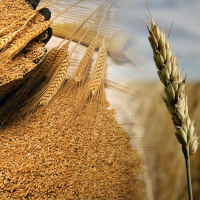 Os Humilhados serão exaltados - Fique perto de quem tem o alimento eterno |Vaygash| Pr Lud Goulart
